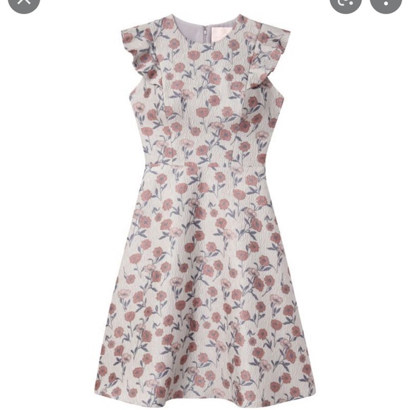 Lola dress 4 petite - Picture 1 of 2